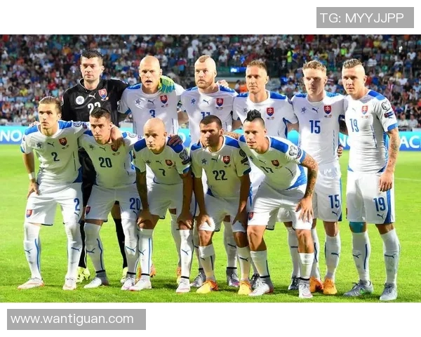 威尔士与斯洛伐克精彩对决全程录播回顾分析