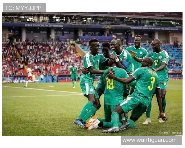 突尼斯与尼日利亚足球对决精彩回顾与赛后分析 突尼斯与尼日利亚足球对决精彩回顾与赛后分析